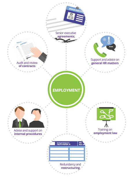 Employment infographic