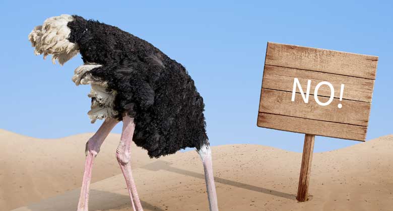 Self Assessment – Don’t be an ostrich!